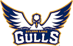 Sylvan Lake Gulls